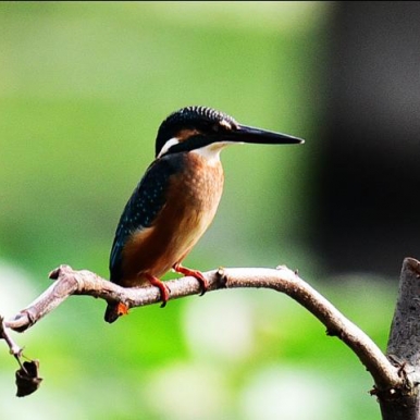 ϰ�Ĵ����ʵ