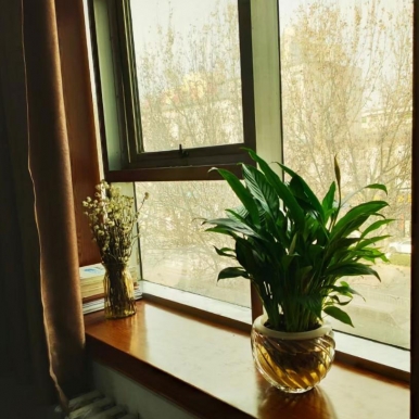 ������ֻ�����