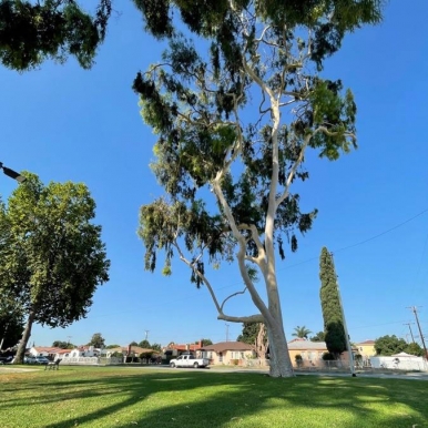 �ֻ�������ģ����������