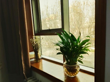 ������ֻ�����